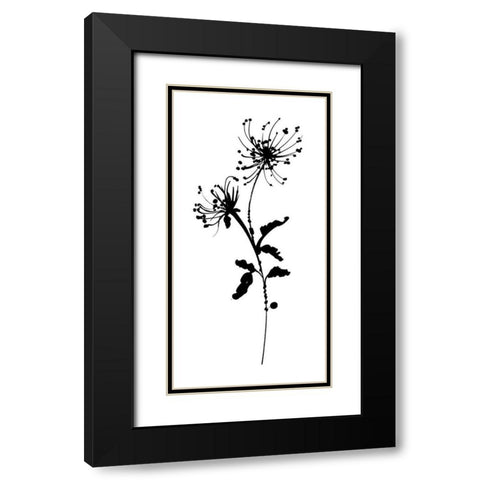 Silhouette Floral IV Black Modern Wood Framed Art Print with Double Matting by Wild Apple Portfolio