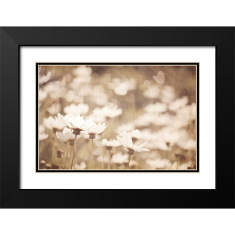 Daisies I Neutral Black Modern Wood Framed Art Print with Double Matting by Urquhart, Elizabeth