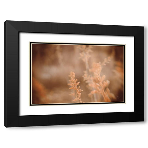 Texas Wild Black Modern Wood Framed Art Print with Double Matting by Larson, Nathan