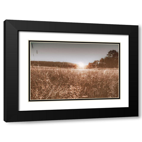 Fields of Gold Black Modern Wood Framed Art Print with Double Matting by Larson, Nathan