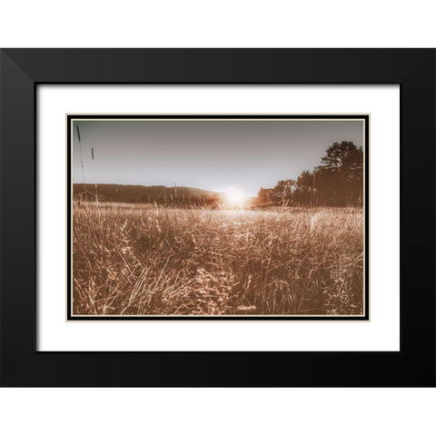 Fields of Gold Black Modern Wood Framed Art Print with Double Matting by Larson, Nathan