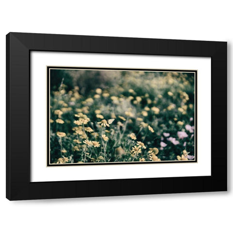 Field Friends Fade Black Modern Wood Framed Art Print with Double Matting by Larson, Nathan