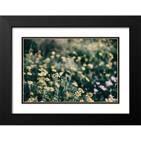 Field Friends Fade Black Modern Wood Framed Art Print with Double Matting by Larson, Nathan