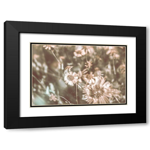 Flower Power Black Modern Wood Framed Art Print with Double Matting by Larson, Nathan