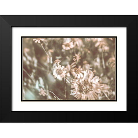Flower Power Black Modern Wood Framed Art Print with Double Matting by Larson, Nathan