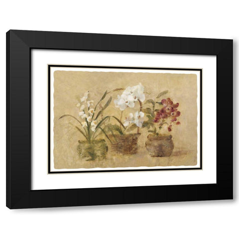 Collection of Orchids-48x35.5 Black Modern Wood Framed Art Print with Double Matting by Blum, Cheri