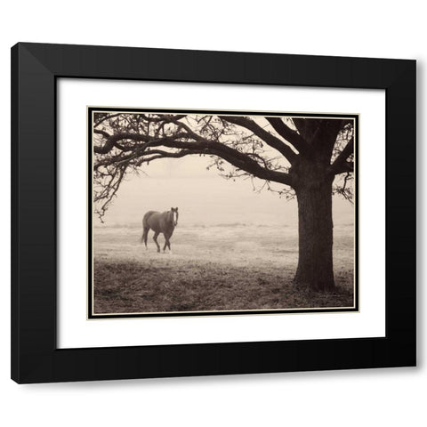 Hazy Horse I Black Modern Wood Framed Art Print with Double Matting by Van Swearingen, Debra