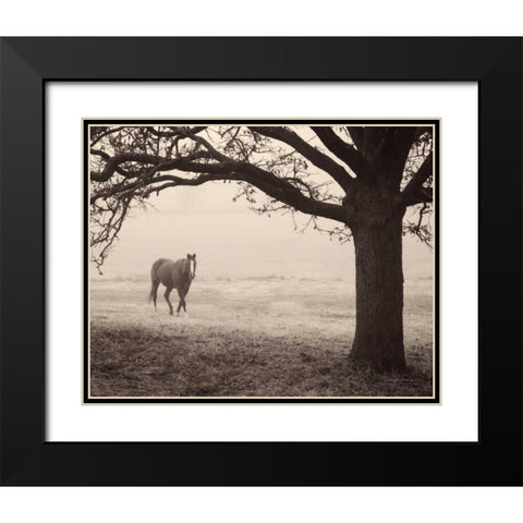 Hazy Horse I Black Modern Wood Framed Art Print with Double Matting by Van Swearingen, Debra