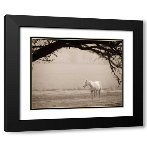 Hazy Horse II Black Modern Wood Framed Art Print with Double Matting by Van Swearingen, Debra