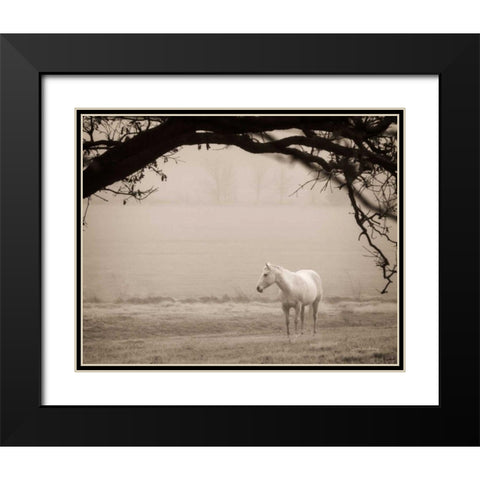 Hazy Horse II Black Modern Wood Framed Art Print with Double Matting by Van Swearingen, Debra