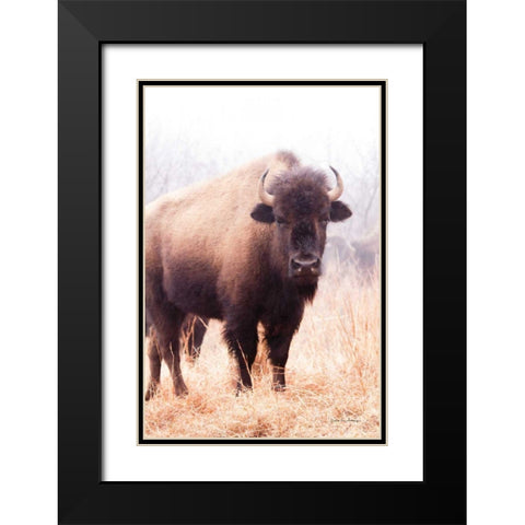American Bison V Black Modern Wood Framed Art Print with Double Matting by Van Swearingen, Debra