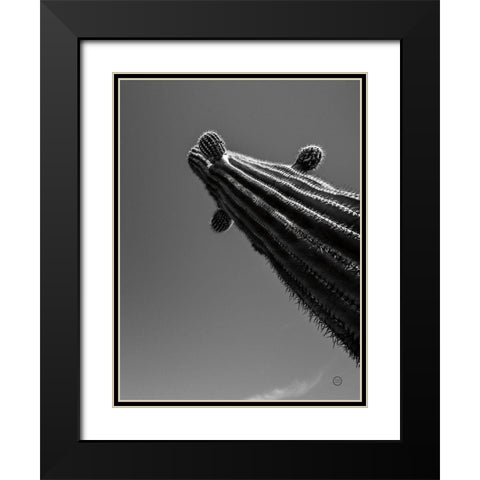 King II Black Modern Wood Framed Art Print with Double Matting by Larson, Nathan