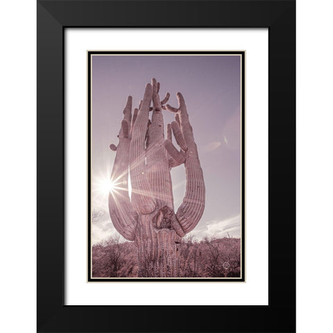 Dusty Desert Saguaro Black Modern Wood Framed Art Print with Double Matting by Larson, Nathan