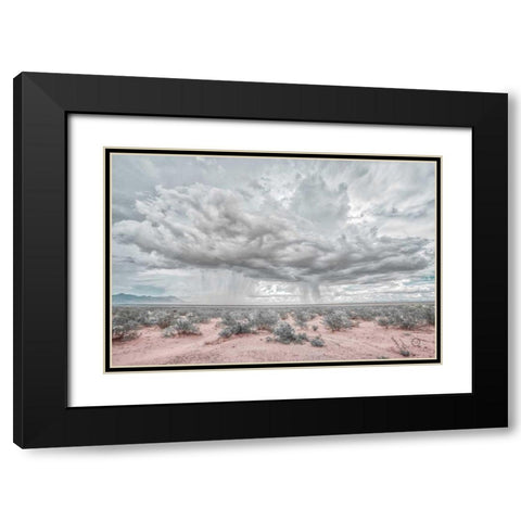 New Mexico Rain Black Modern Wood Framed Art Print with Double Matting by Larson, Nathan
