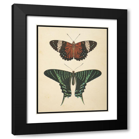 Papillons I Black Modern Wood Framed Art Print with Double Matting by Wild Apple Portfolio