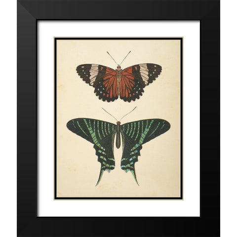 Papillons I Black Modern Wood Framed Art Print with Double Matting by Wild Apple Portfolio