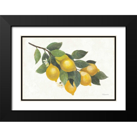 Lemon Branch I Black Modern Wood Framed Art Print with Double Matting by Hristova, Albena