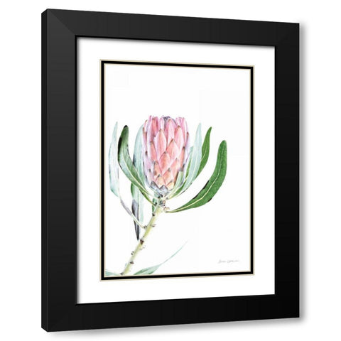 Dreamy Protea II Oasis Black Modern Wood Framed Art Print with Double Matting by Catterall, Elise