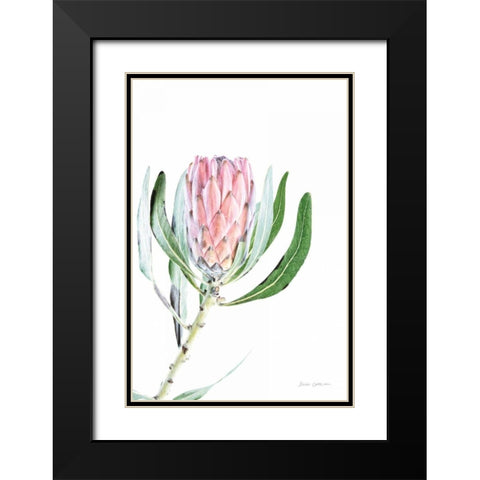 Dreamy Protea II Oasis Black Modern Wood Framed Art Print with Double Matting by Catterall, Elise
