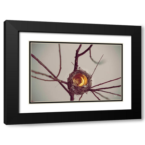 What is Golden Black Modern Wood Framed Art Print with Double Matting by Larson, Nathan