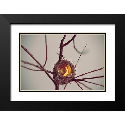 What is Golden Black Modern Wood Framed Art Print with Double Matting by Larson, Nathan