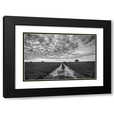 Farm Road Black Modern Wood Framed Art Print with Double Matting by Larson, Nathan