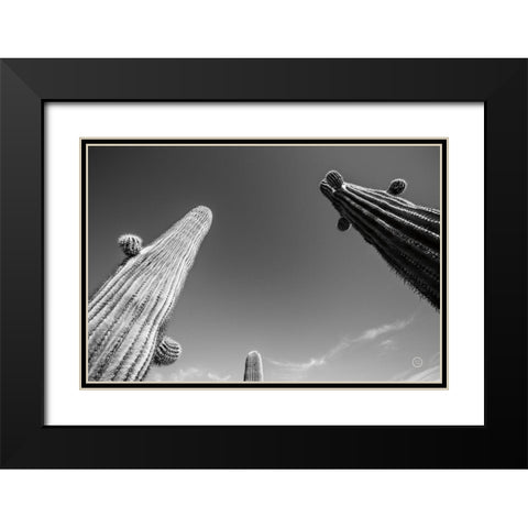 Three Kings Black Modern Wood Framed Art Print with Double Matting by Larson, Nathan