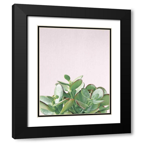 Succulent Simplicity Soft III Crop Black Modern Wood Framed Art Print with Double Matting by Bradley, Felicity