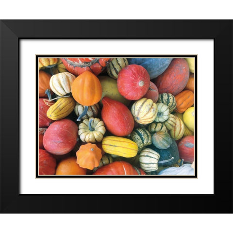 Autumn Bounty Black Modern Wood Framed Art Print with Double Matting by Goldstein, Ed