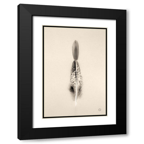 Floating Feathers I Sepia Black Modern Wood Framed Art Print with Double Matting by Larson, Nathan