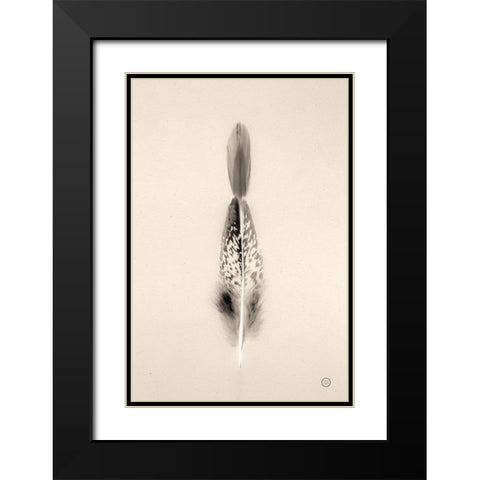 Floating Feathers I Sepia Black Modern Wood Framed Art Print with Double Matting by Larson, Nathan