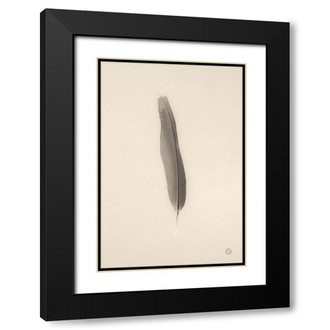 Floating Feathers II Sepia Black Modern Wood Framed Art Print with Double Matting by Larson, Nathan
