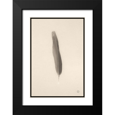 Floating Feathers II Sepia Black Modern Wood Framed Art Print with Double Matting by Larson, Nathan