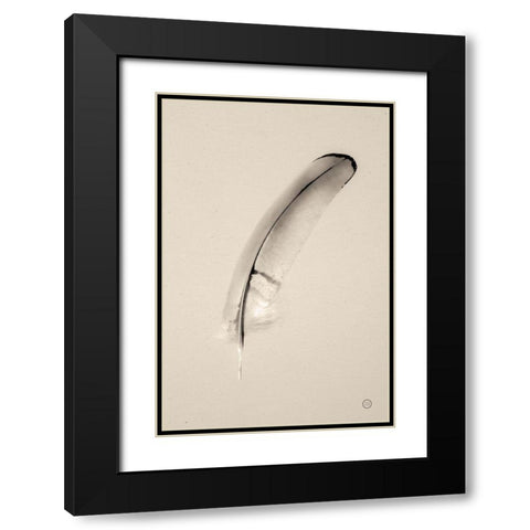 Floating Feathers III Sepia Black Modern Wood Framed Art Print with Double Matting by Larson, Nathan