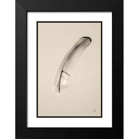 Floating Feathers III Sepia Black Modern Wood Framed Art Print with Double Matting by Larson, Nathan