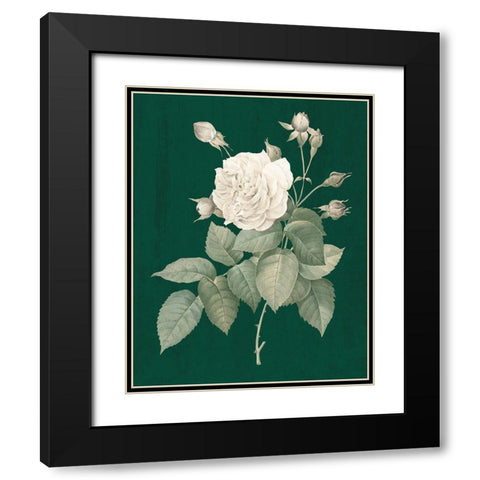 White Roses on Green I Black Modern Wood Framed Art Print with Double Matting by Wild Apple Portfolio