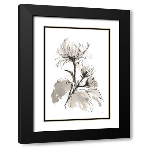 Chrysanthemum I Black Modern Wood Framed Art Print with Double Matting by Paschke, Chris