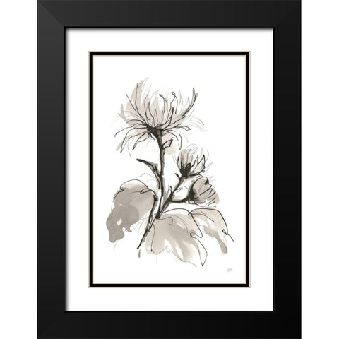 Chrysanthemum I Black Modern Wood Framed Art Print with Double Matting by Paschke, Chris