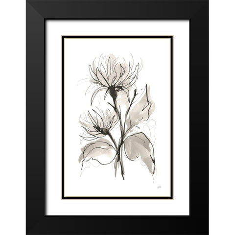 Chrysanthemum II Black Modern Wood Framed Art Print with Double Matting by Paschke, Chris