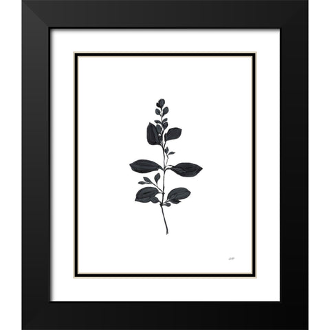 Botanical Study Branch Black Modern Wood Framed Art Print with Double Matting by Purinton, Julia