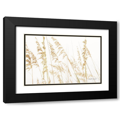 Blowing in the Wind II Black Modern Wood Framed Art Print with Double Matting by Urquhart, Elizabeth