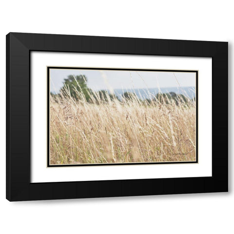 Summer Field I Black Modern Wood Framed Art Print with Double Matting by Urquhart, Elizabeth