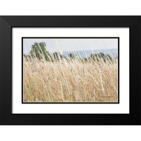 Summer Field I Black Modern Wood Framed Art Print with Double Matting by Urquhart, Elizabeth