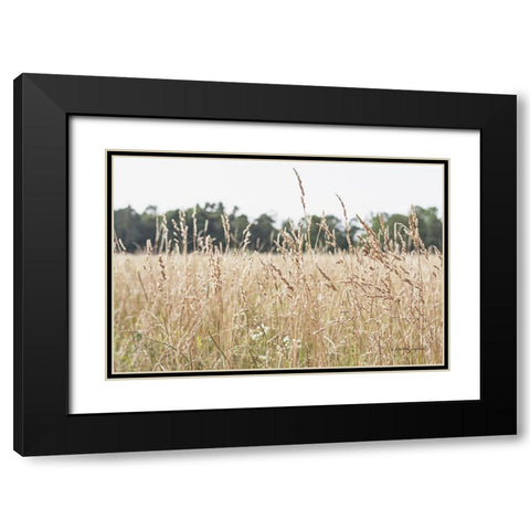 Summer Field II Black Modern Wood Framed Art Print with Double Matting by Urquhart, Elizabeth