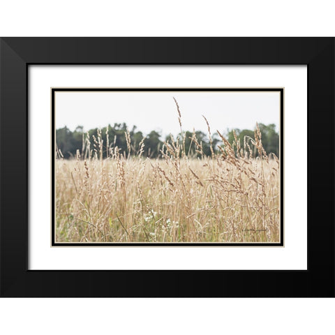Summer Field II Black Modern Wood Framed Art Print with Double Matting by Urquhart, Elizabeth