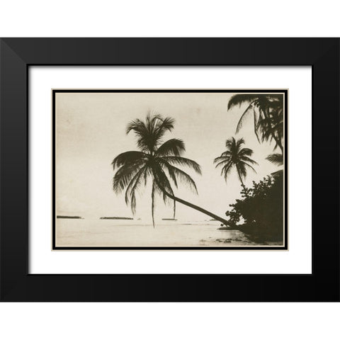 Palm Beach I Black Modern Wood Framed Art Print with Double Matting by Wild Apple Portfolio