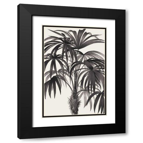 Riviera Palms II BW Black Modern Wood Framed Art Print with Double Matting by Wild Apple Portfolio