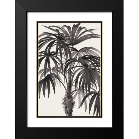Riviera Palms II BW Black Modern Wood Framed Art Print with Double Matting by Wild Apple Portfolio