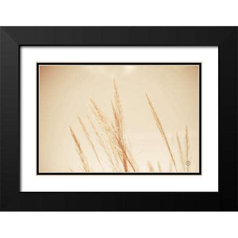 Summer Fields Black Modern Wood Framed Art Print with Double Matting by Larson, Nathan