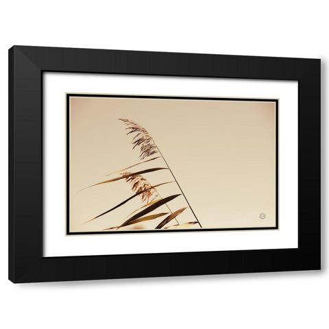 Windswept Grasses Black Modern Wood Framed Art Print with Double Matting by Larson, Nathan
